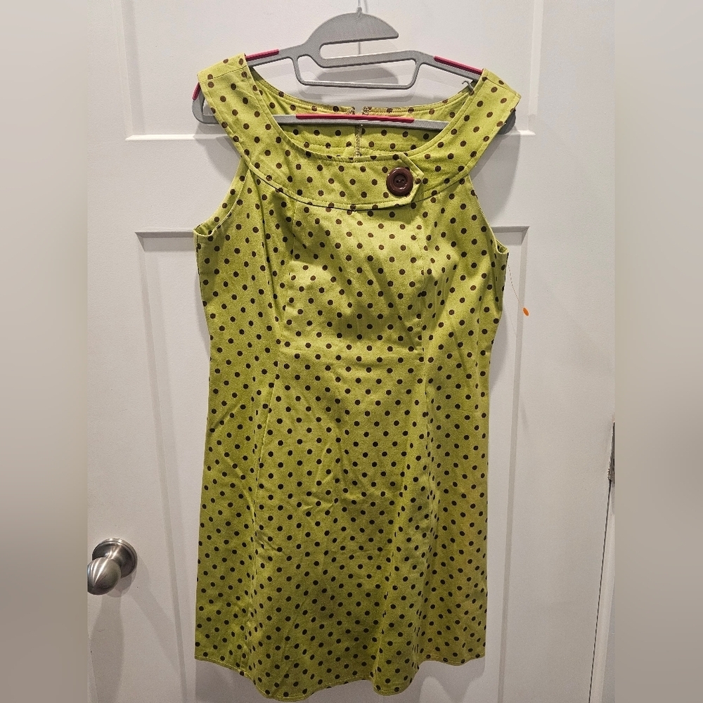 Kim Rogers Green Polka Dot Sleeveless A-Line Dress 10P